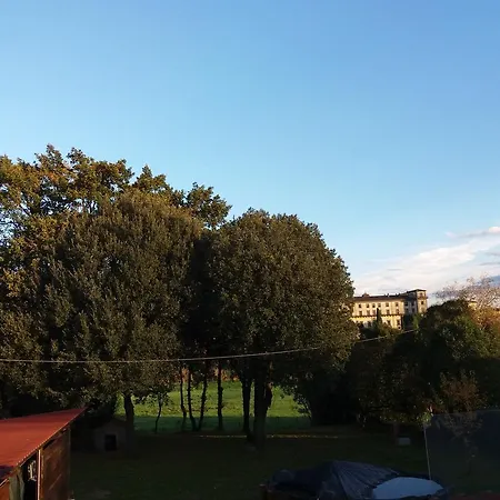 Rossa